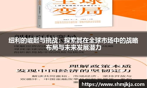 纽利的崛起与挑战：探索其在全球市场中的战略布局与未来发展潜力