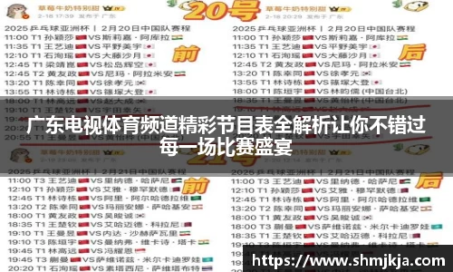 广东电视体育频道精彩节目表全解析让你不错过每一场比赛盛宴